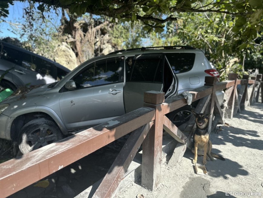 1500坪「內建火車」民宿毀了！小狗困漂漂車...9天沒吃奇蹟生還