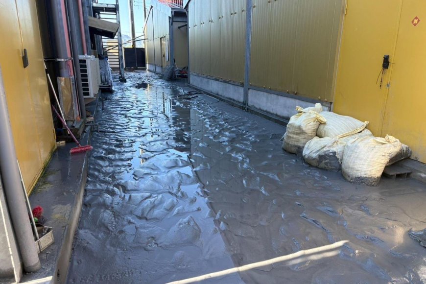 暴雨過後別踩積水！專科醫提醒：恐引發「類鼻疽」感染