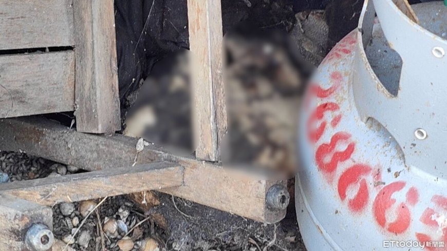 廢棄倉庫驚見一堆白骨「確定是人類的」　DNA鑑定確認身分