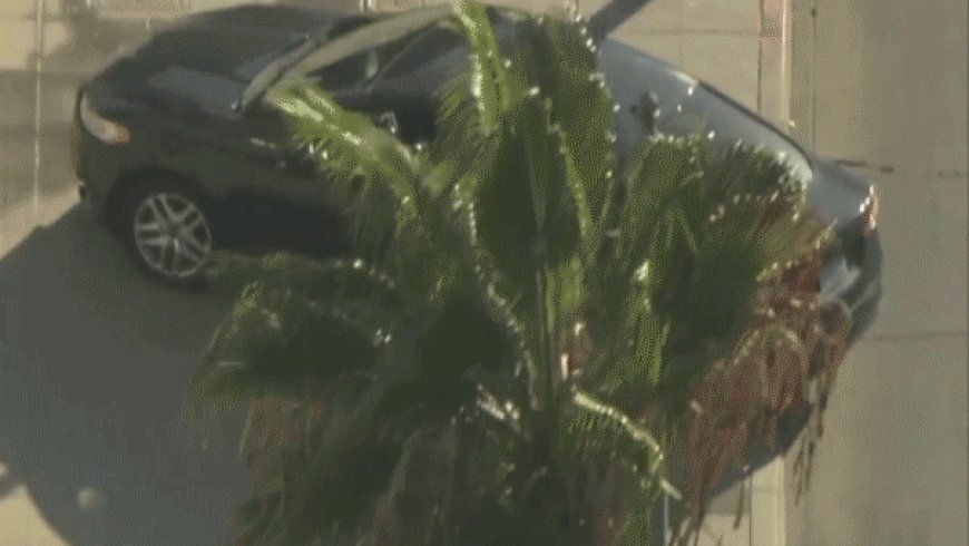 Los Angeles City Hall evacuated after car travels into steps, sidewalk in front of building; driver in custody