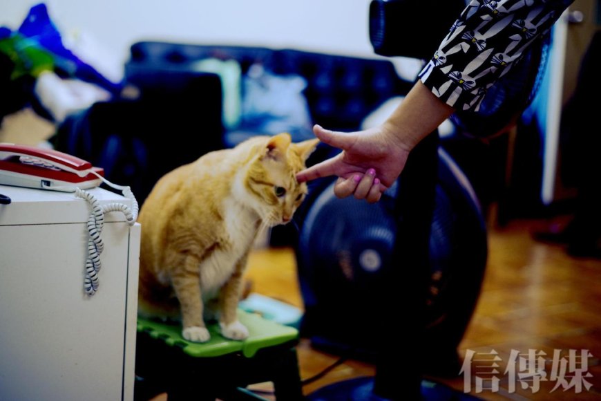 你對誰都好，就是對自己太差：過分善良不是好事！停止取悅，過想要的生活