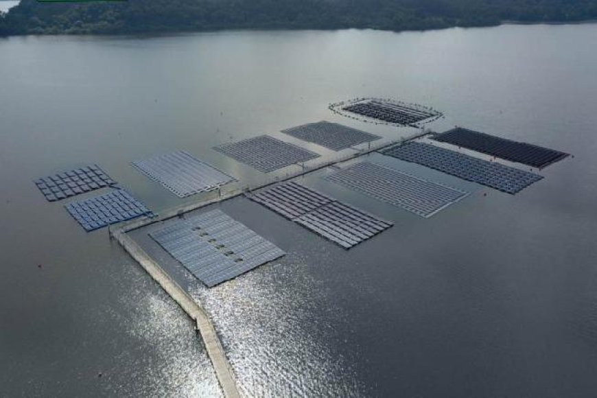 英國、新加坡水庫放太陽能電板超過8年　水庫放發電板非台灣獨有