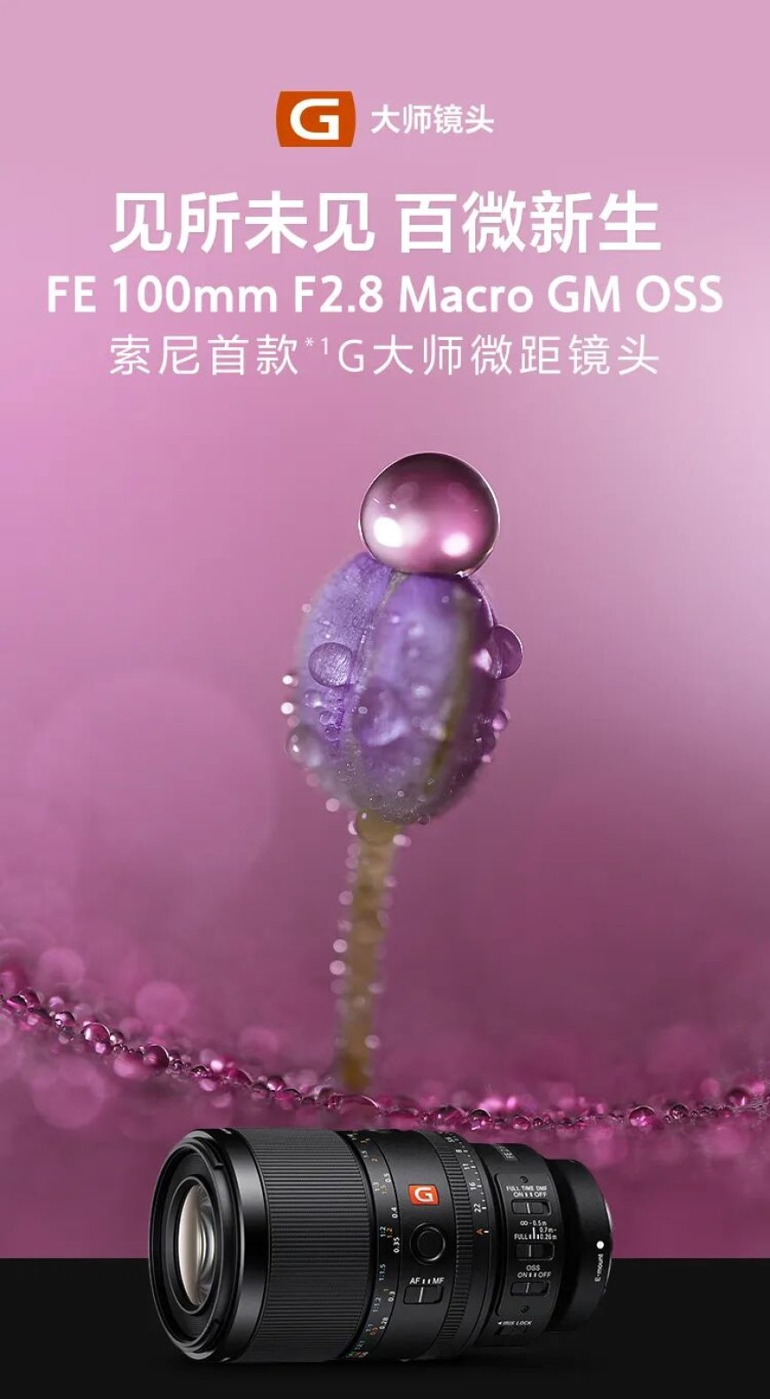 索尼发布首款 G 大师微距镜头 FE 100mm F2.8 Macro GM OSS,9299 元