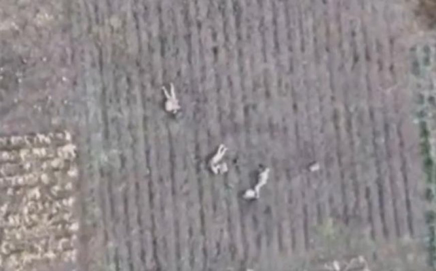 真战场兵王！俄罗斯一老兵“一挑六”并全身而退，无人机立大功