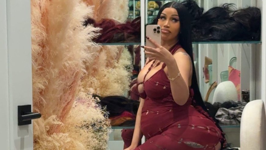 Pregnant Cardi B Rocks Sheer Dress With Cutouts for 33rd Birthday