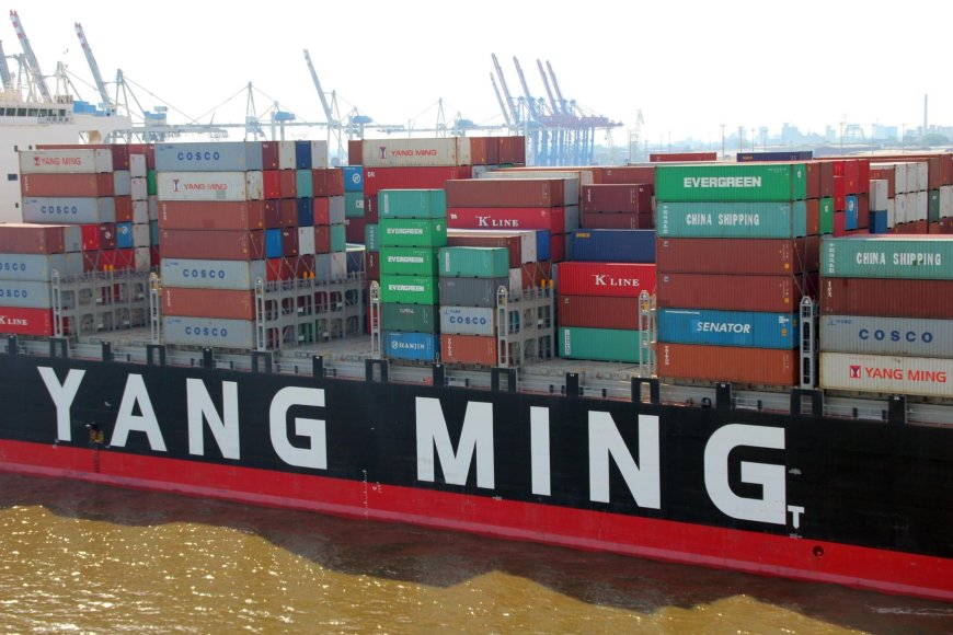 川普扮演台灣航運股救星　美宣布對中國造船隻開徵港口費　貨櫃散裝全面上漲