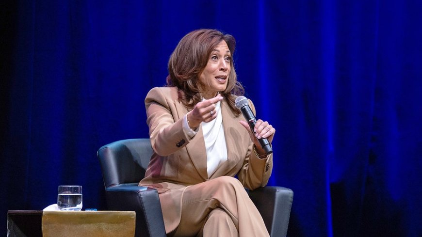 Kamala Harris claims Trump voters tell her they feel 'lied to' about deportations