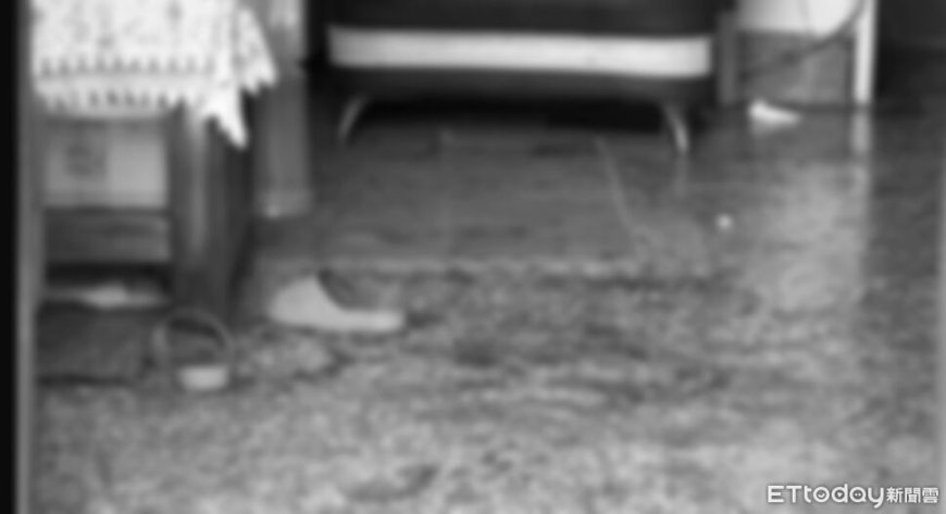 快訊／台中23歲無業男「狂砍2鄰」！曾有傷害前科　母急奔派出所