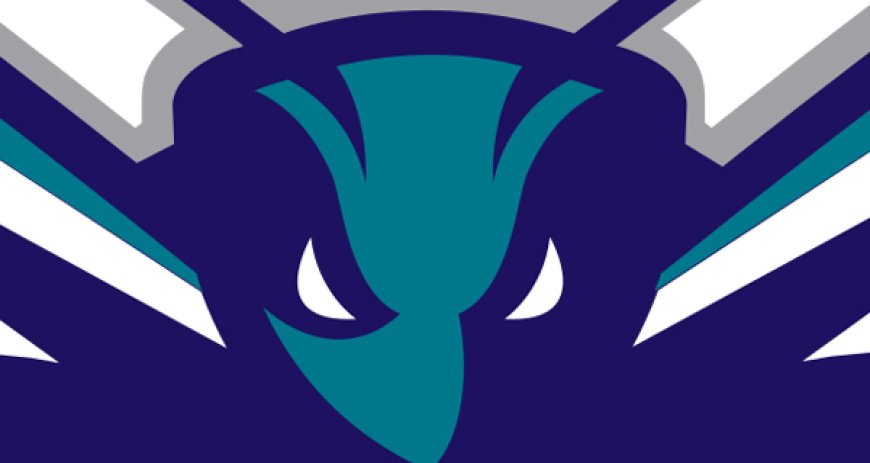 Hornets Waive Jonas Aidoo