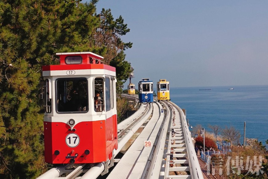 誤打誤撞遇上櫻花季尾聲　韓國第二大城釜山成獨旅新熱門