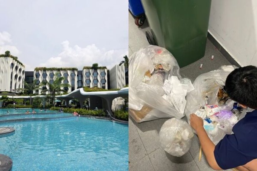 台遊客7.1萬現金疑被女房務偷！　新加坡飯店竟逼「自己翻垃圾找」