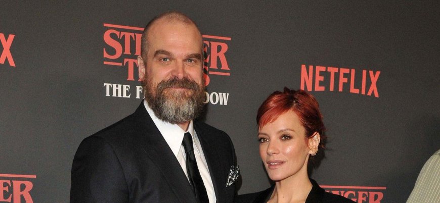 What Lily Allen's Album Revealed About A Death That Still Haunts David Harbour