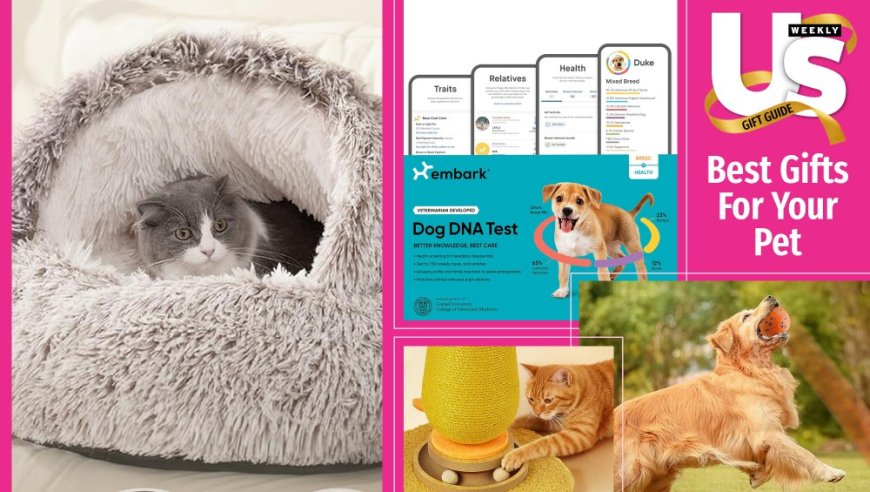 20 Tail-Waggingly Delightful Gifts to Get Your Pet This Holiday Season