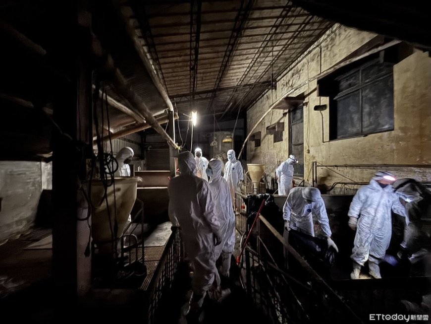 快訊／豬瘟疫情鎖在台中！全台高風險場所皆陰性　案主家檢測出爐