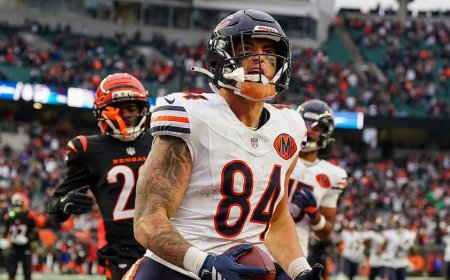 Bears' Colston Loveland bounces off 2 defenders to score clutch TD for win over Bengals