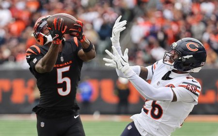 Bengals star makes incredible TD catch, achieves milestone only Hall of Famers accomplished