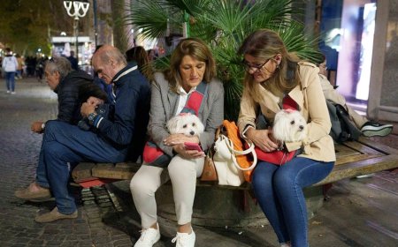 Dog tax slammed as 'short-sighted and unfair' as tourist hot spot aims for public-area cleanup