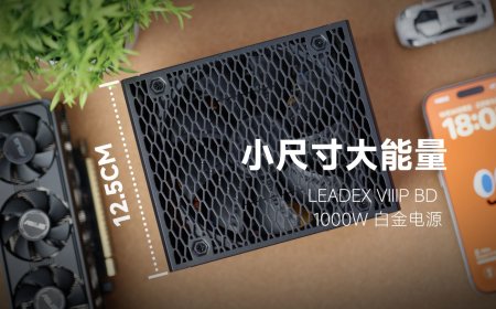 振华推出 LEADEX VIII P BD 1000W 电源：白金效率 ATX 3.1，125mm 短机身