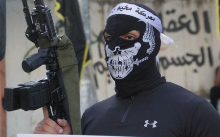 西岸是如何抵抗拿破仑的？它能否战胜本-格维尔？