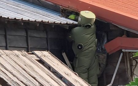 秋季虎頭蜂活躍　警方與縣府聯手守護民眾安全