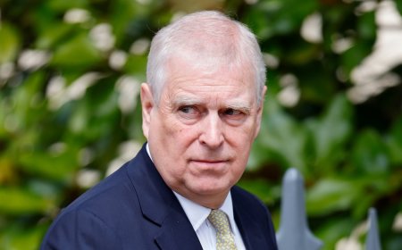 Why Prince Andrew Will Not Receive Near $728,000 Payout for Move: Report