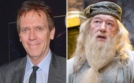 Hugh Laurie on Voicing Dumbledore in Audible’s ‘Harry Potter’ Books, Recording His Lines in Two Weeks and the ‘Mortifying Embarrassment’ of Auditions