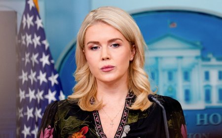 White House slams Mamdani's 'completely irresponsible' comments linking Trump to threats against voters