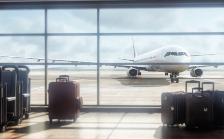 航线恢复和油价下降助推三大航三季度集体扭亏