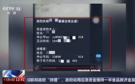 饭圈互相攻击致虚拟主播被封存，两粉丝数月内“开盒”3000 多人获刑一年半