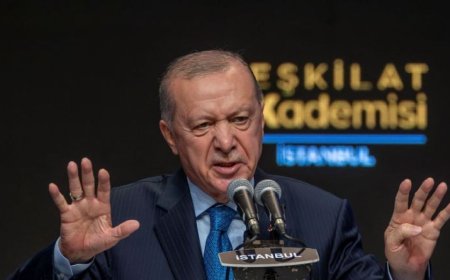 伊斯坦布尔会议讨论加沙下一阶段事宜