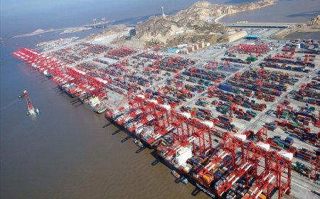 謝志堅：美國暫停對中國24%關稅應屬實　未來一年中輸美貨量看增