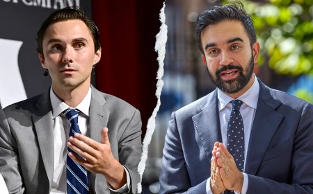 Fox News Politics Newsletter: David Hogg calls on Dems to reignite ‘American Dream’ after Mamdani win