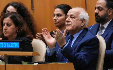 加沙战争后的巴勒斯坦民族权力机构：在国际承认与以色列右翼势力强硬化之间