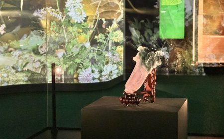 「翠玉白菜」安危受威脅　捷克博物館館長將「親自護送回台」