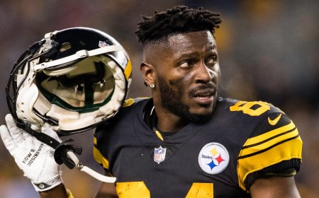 Former NFL Star Antonio Brown in Custody on Attempted Murder Charge: Report