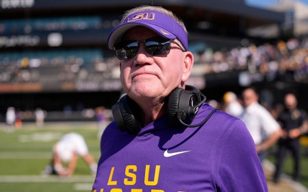 Fired LSU coach Brian Kelly says he's still cheering for Tigers: 'We will be watching'