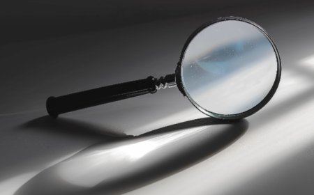 “最强地级市”56岁副市长落马，曾负责生态文明建设与开放型经济工作