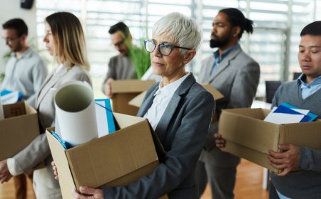 美国裁员规模创新高，美联储12月降息预期进一步强化