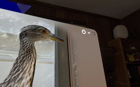 苹果“空间照片”与“空间场景”详解：一个永久格式，一个临时特效