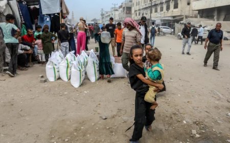 人为制造饥饿：占领当局如何操纵市场混乱以维持对加沙的压迫？