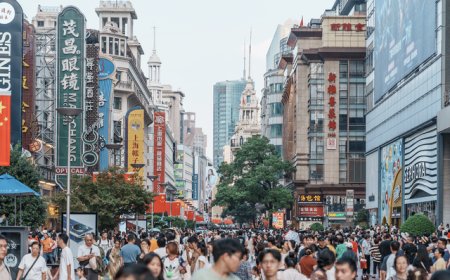 财政部部署六大工作重点，用好用足更加积极财政政策排在首位