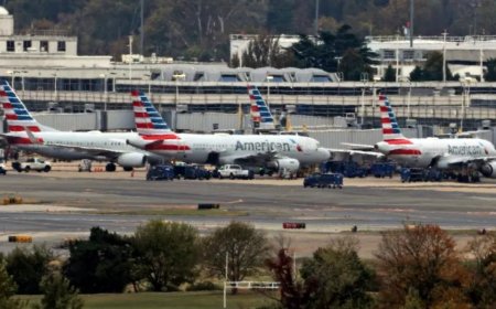 美国境内的哪些机场取消了部分航班？