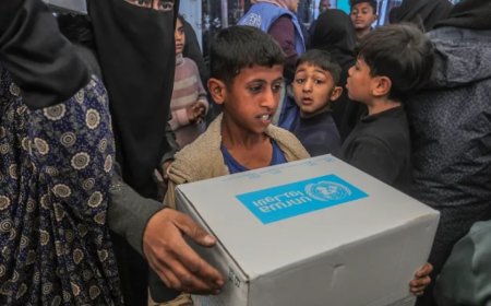 如果联合国在下周五解散会怎样？