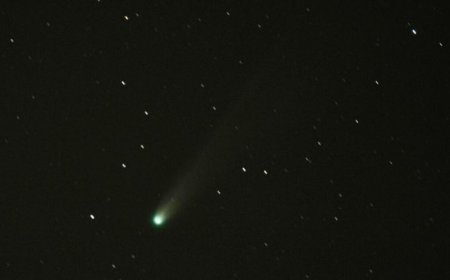 科学家为何争相研究一颗来自深空的彗星？