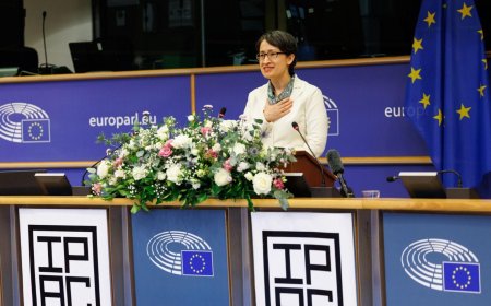 副總統蕭美琴突現歐洲議會演講　創造歷史　中國氣炸