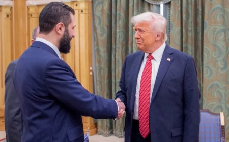 特朗普与叙利亚总统沙拉在白宫举行“历史性”会晤