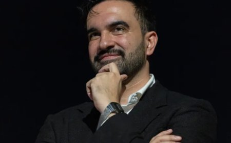 共和党人试图剥夺佐赫兰·马姆达尼的美国公民身份 这有可能吗？