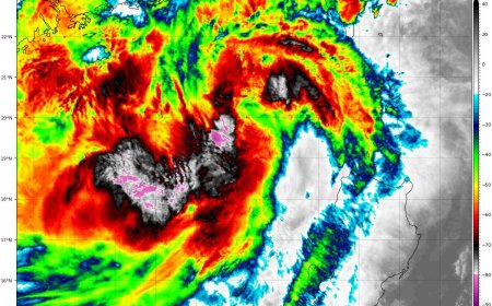 鳳凰侵襲率「4縣市超過98％」　全台一次看