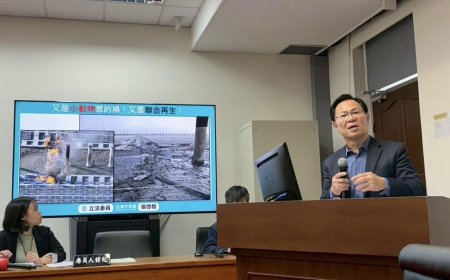 彰濱水上光電板火災「老鼠咬的」　白委籲詳查：別推給動物