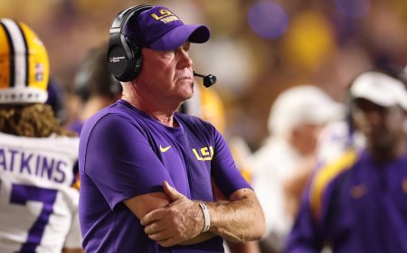Former LSU Football Coach Brian Kelly Sues School Over $54 Million Buyout